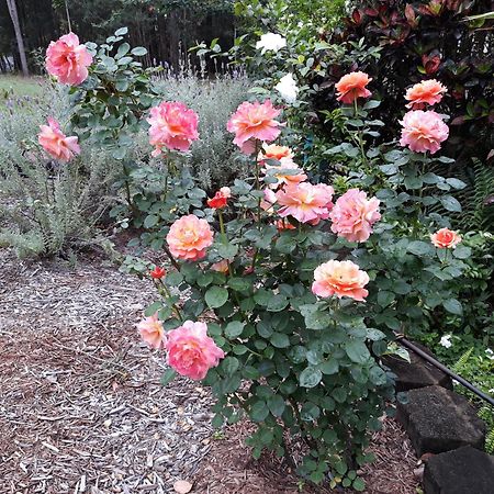 Riviera Bed & Breakfast Gold Coast Buitenkant foto