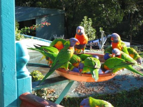 Riviera Bed & Breakfast Gold Coast Buitenkant foto