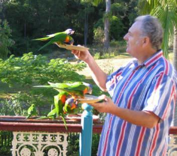 Riviera Bed & Breakfast Gold Coast Buitenkant foto