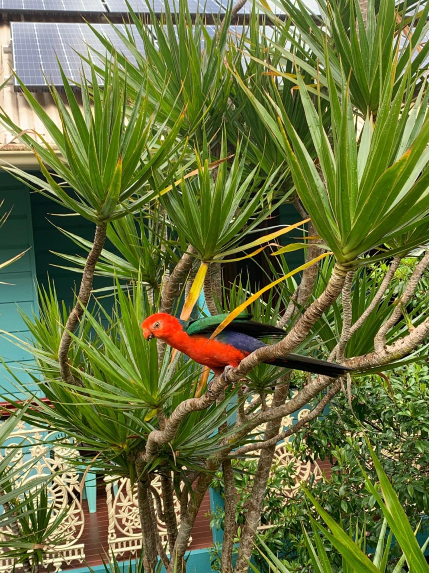 Riviera Bed & Breakfast Gold Coast Buitenkant foto